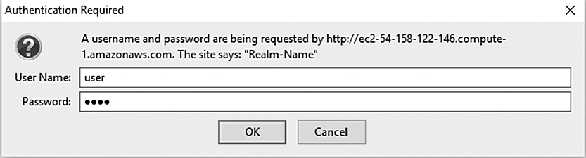 Screenshot shows the Authentication required dialog box. User name and password field, along with OK and Cancel buttons are displayed.