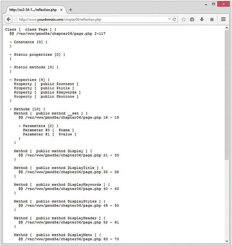 Screenshot shows a detailed output from the reflection API.