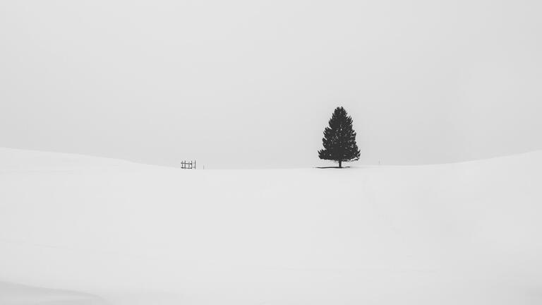 cached/dharmx_walls/abstract/a_tree_in_the_snow.jpg