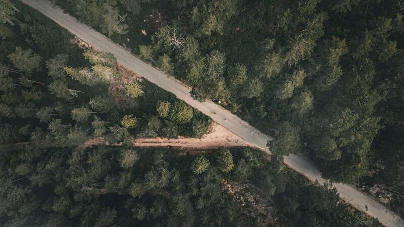 cached/dharmx_walls/aerial/a_road_surrounded_by_trees.jpg