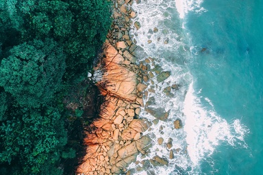 cached/dharmx_walls/aerial/a_rocky_beach_with_trees_and_water.jpg