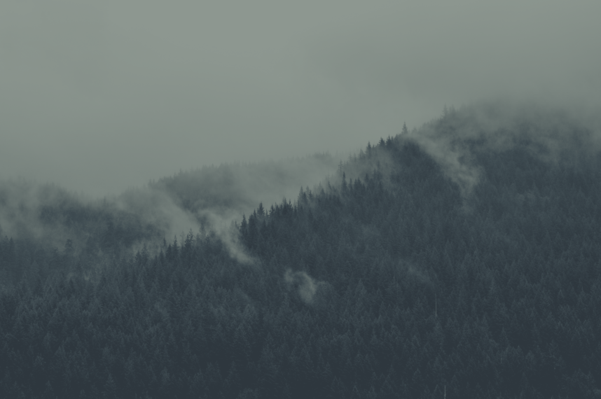 cached/dharmx_walls/apeiros/a_foggy_mountain_with_trees.png