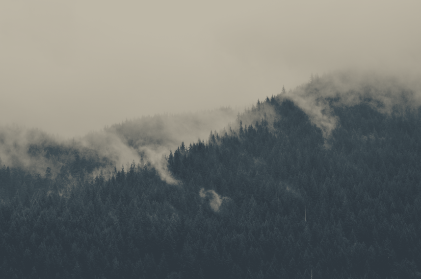 cached/dharmx_walls/apeiros/a_foggy_mountain_with_trees_01.png