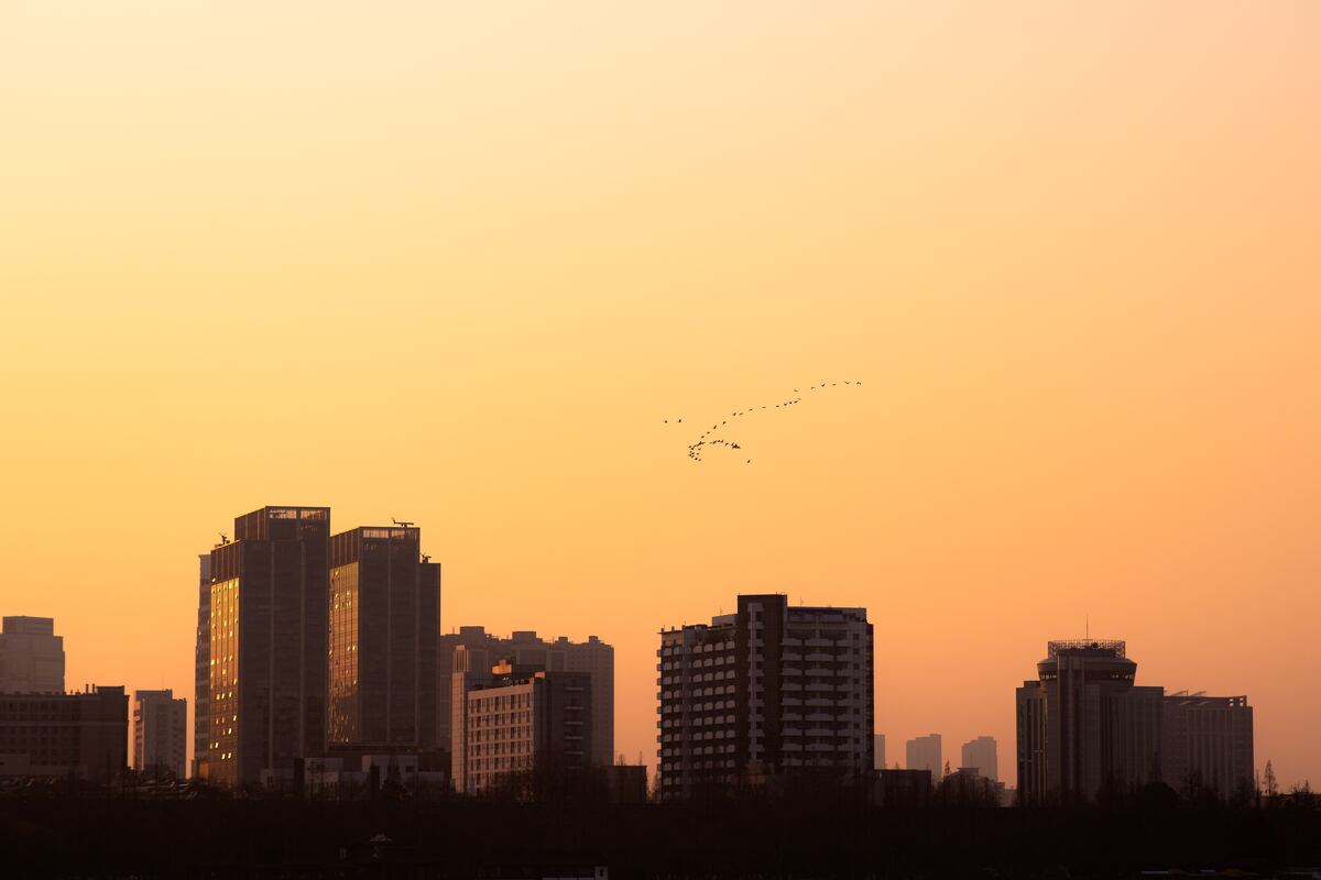 cached/dharmx_walls/architecture/a_group_of_birds_flying_in_the_sky_over_a_city.jpg