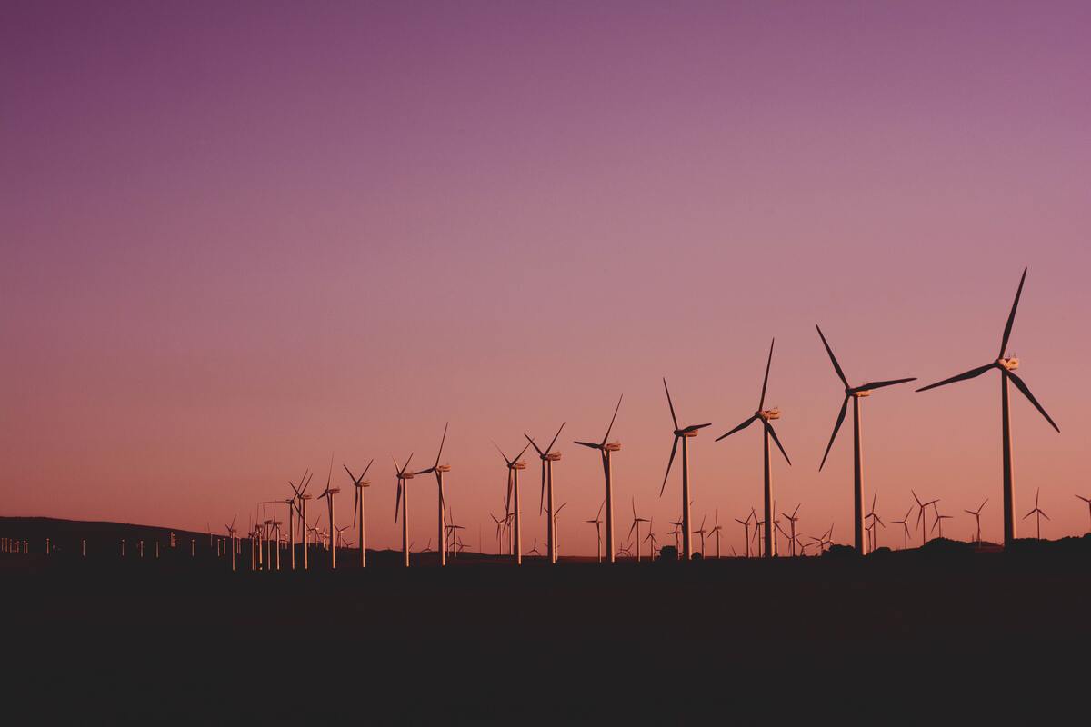 cached/dharmx_walls/architecture/a_group_of_windmills_in_a_field.jpg