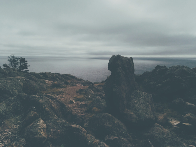 cached/dharmx_walls/calm/a_rocky_landscape_with_trees_and_water_in_the_background.jpg