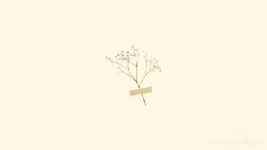 cached/dharmx_walls/centered/a_plant_with_white_flowers_and_a_tape.png