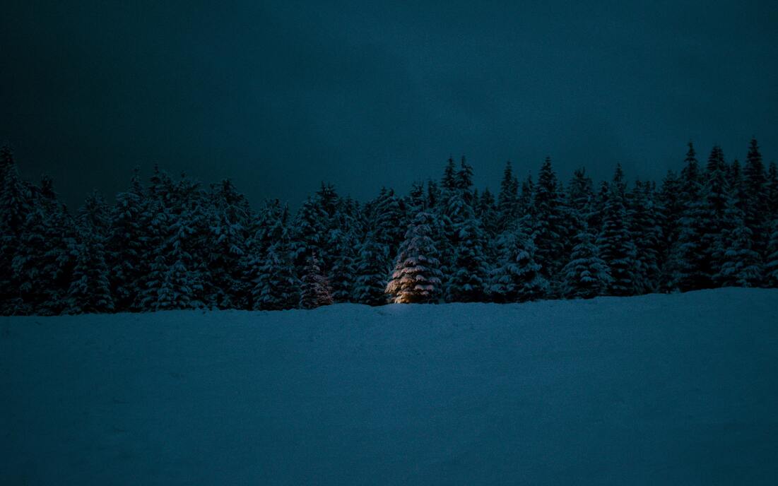 cached/dharmx_walls/cold/a_snowy_landscape_with_trees_and_a_light_on_it.jpg