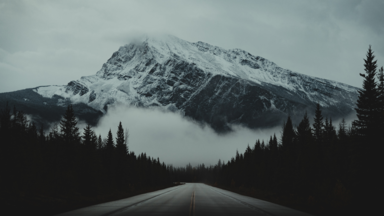cached/dharmx_walls/digital/a_road_with_trees_and_a_mountain_in_the_background.png
