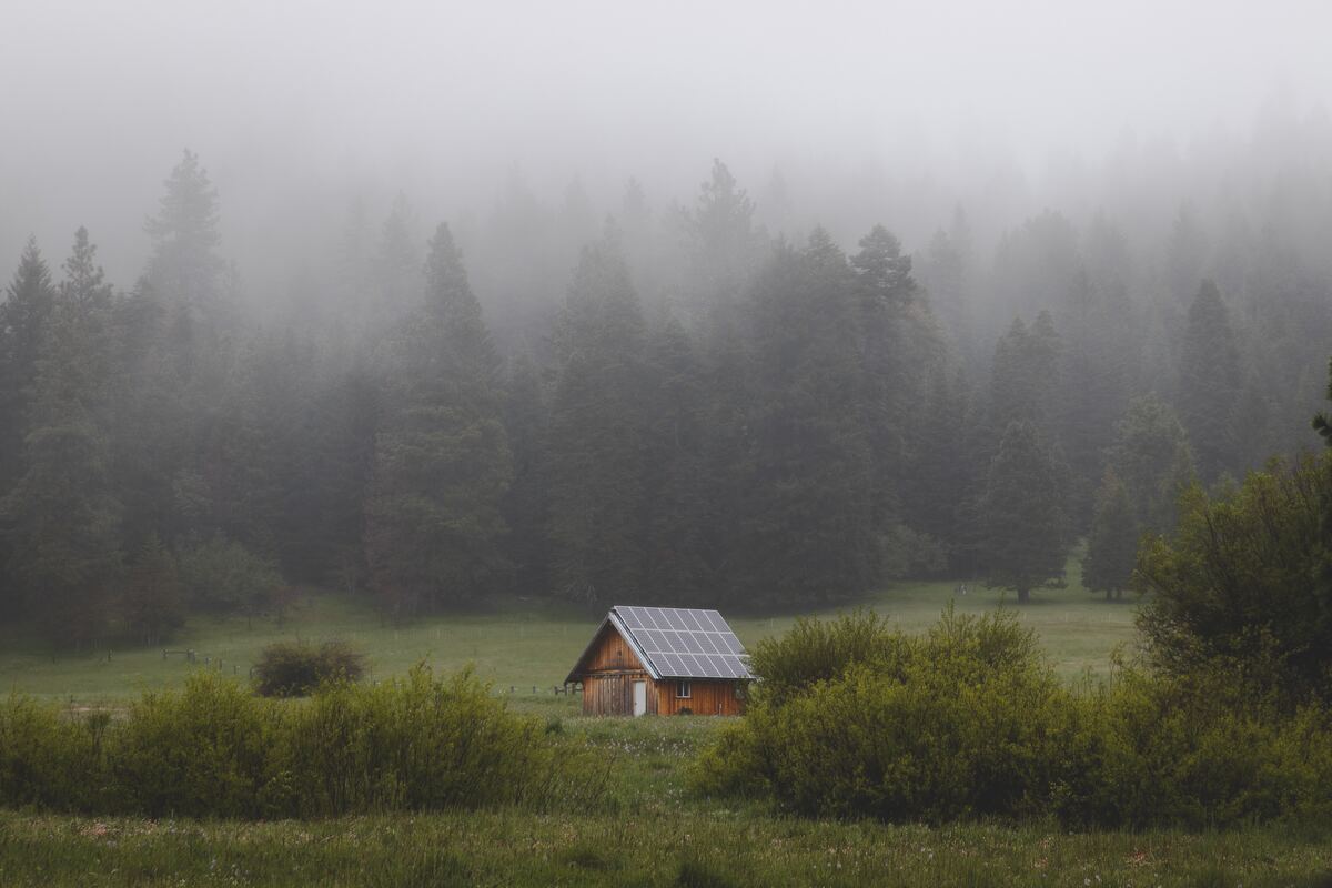 cached/dharmx_walls/dreamcore/a_house_in_a_field_with_trees.jpg