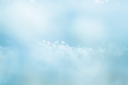cached/dharmx_walls/flowers/a_blue_sky_with_white_clouds_and_small_white_flowers.jpg