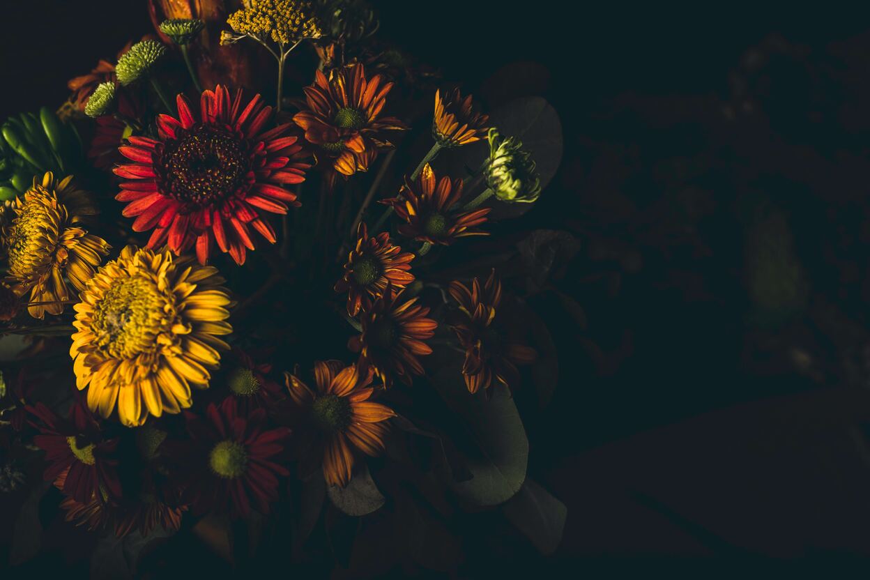 cached/dharmx_walls/flowers/a_bouquet_of_flowers_in_a_dark_room.jpg