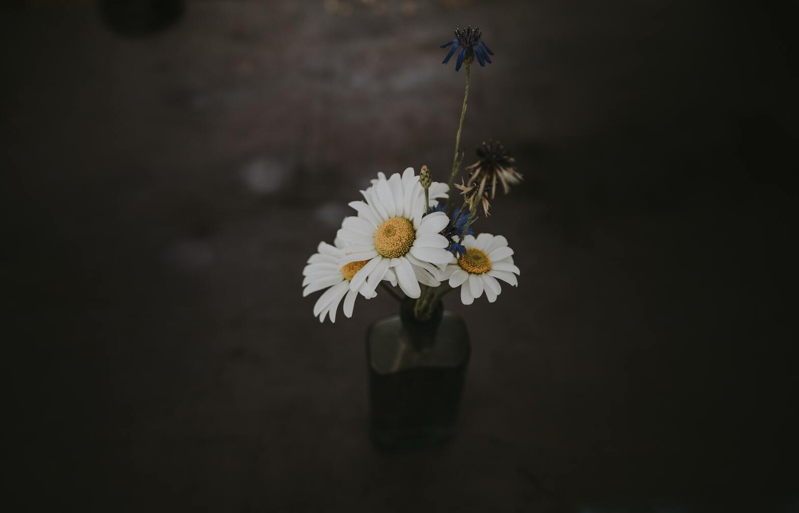 cached/dharmx_walls/flowers/a_white_and_yellow_flowers_in_a_glass_vase.jpg