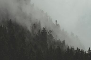 cached/dharmx_walls/fogsmoke/a_foggy_mountain_with_trees.jpg