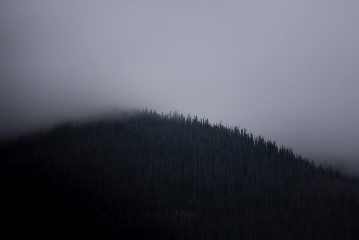 cached/dharmx_walls/fogsmoke/a_foggy_mountain_with_trees_02.jpg