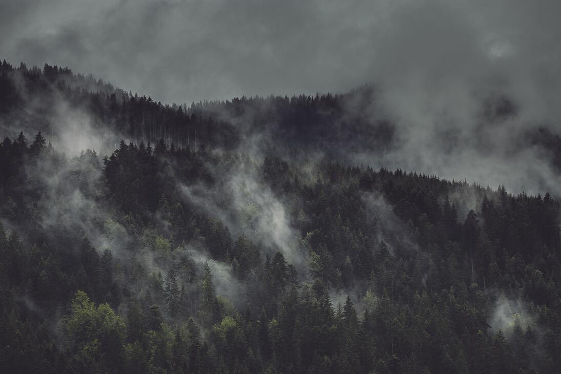 cached/dharmx_walls/fogsmoke/foggy_forest_with_clouds_in_the_sky.jpg