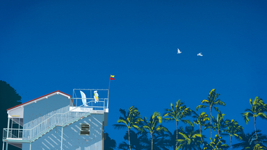 cached/dharmx_walls/m-26.jp/a_white_building_with_a_flag_on_top_and_palm_trees.jpg