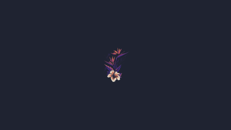 cached/dharmx_walls/minimal/a_flower_on_a_dark_background.png