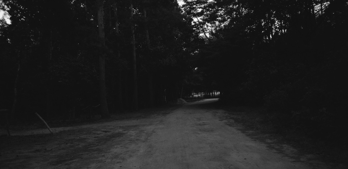 cached/dharmx_walls/monochrome/a_dirt_road_with_trees_in_the_background.jpg