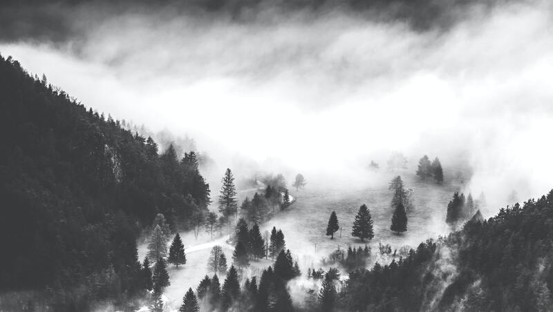 cached/dharmx_walls/monochrome/a_foggy_landscape_with_trees_and_a_road.jpg