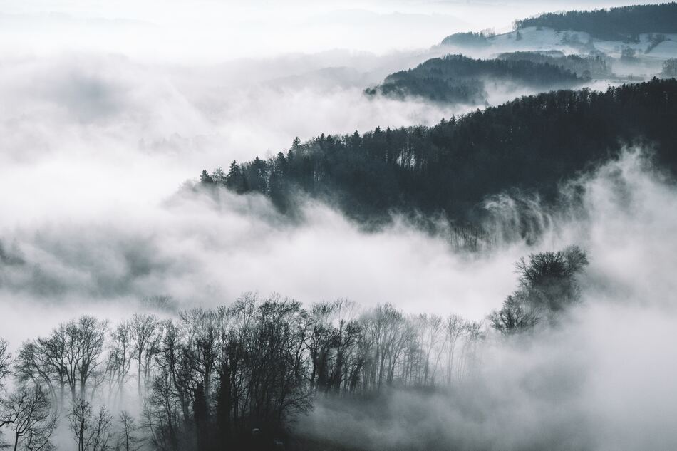 cached/dharmx_walls/monochrome/a_foggy_landscape_with_trees_and_hills.jpg