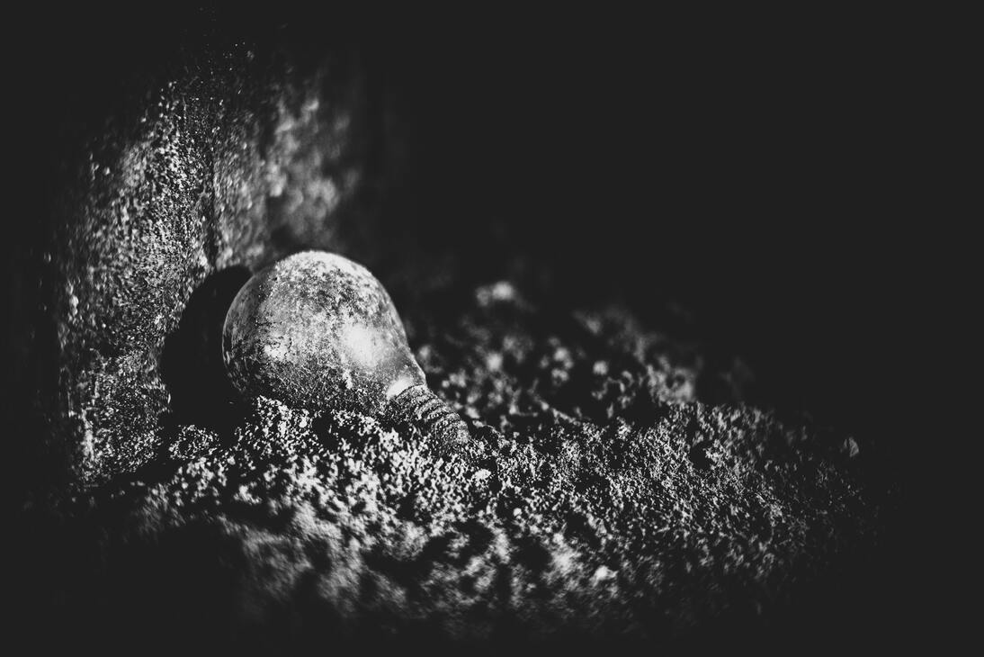 cached/dharmx_walls/monochrome/a_light_bulb_in_the_dirt.jpg