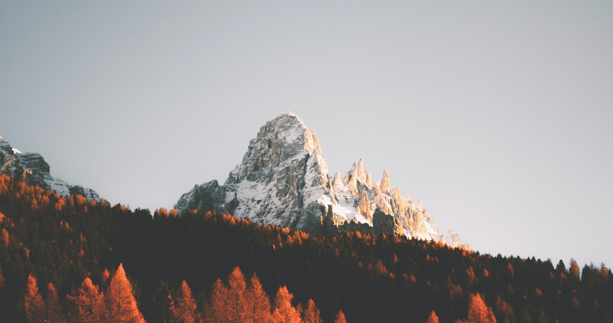 cached/dharmx_walls/mountain/a_mountain_with_snow_on_top_and_trees_in_the_background.jpg