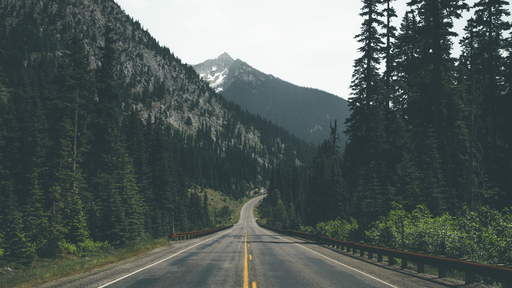 cached/dharmx_walls/mountain/a_road_with_trees_and_mountains_in_the_background.jpg