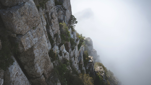 cached/dharmx_walls/mountain/a_rocky_cliff_with_trees_and_fog.jpg