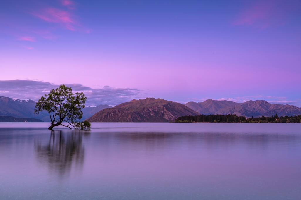 cached/dharmx_walls/mountain/a_tree_in_a_body_of_water_with_mountains_in_the_background.jpg