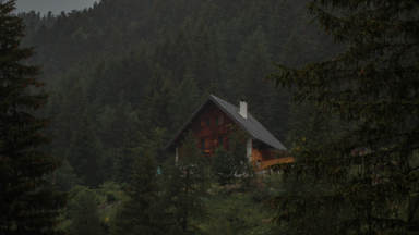 cached/dharmx_walls/nature/a_house_in_the_woods.png