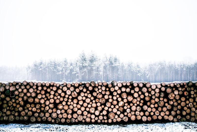 cached/dharmx_walls/nature/a_pile_of_logs_in_a_snowy_field.jpg