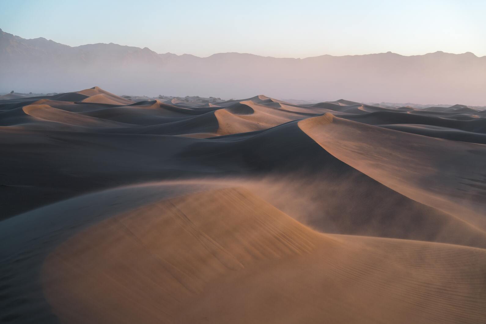 cached/dharmx_walls/nature/a_sand_dunes_in_the_desert.jpg