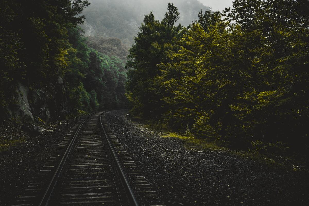 cached/dharmx_walls/nature/train_tracks_in_a_forest.jpg