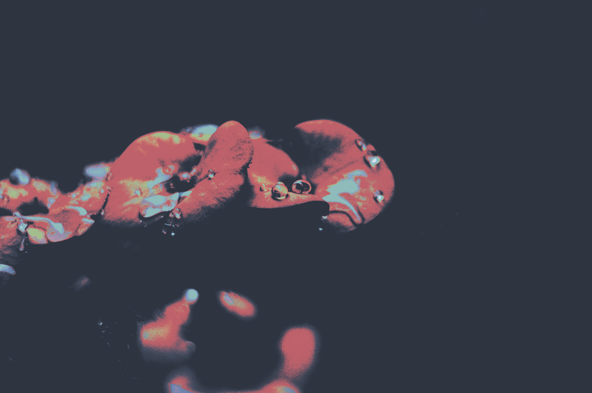 cached/dharmx_walls/nord/a_close_up_of_water_droplets_on_a_red_object.png