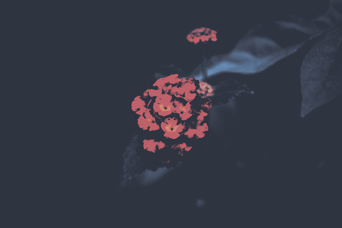 cached/dharmx_walls/nord/a_group_of_pink_flowers_01.png