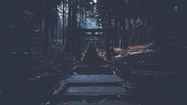 cached/dharmx_walls/nord/a_stone_steps_leading_up_to_a_forest.jpg