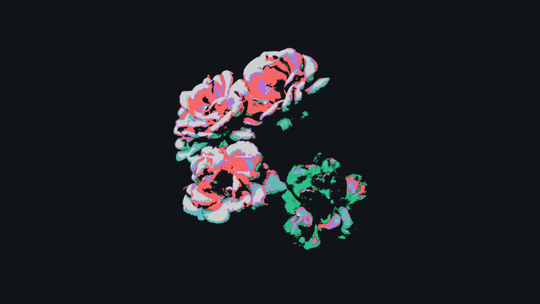 cached/dharmx_walls/radium/a_group_of_flowers_on_a_black_background.png