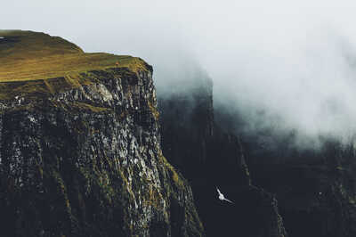 cached/dharmx_walls/unsorted/a_cliff_with_fog_and_grass.jpg