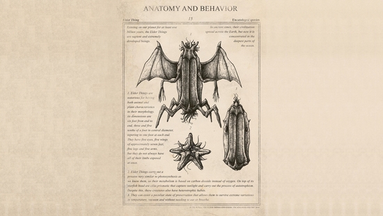 cached/dharmx_walls/unsorted/a_drawing_of_a_bug_and_starfish.jpg