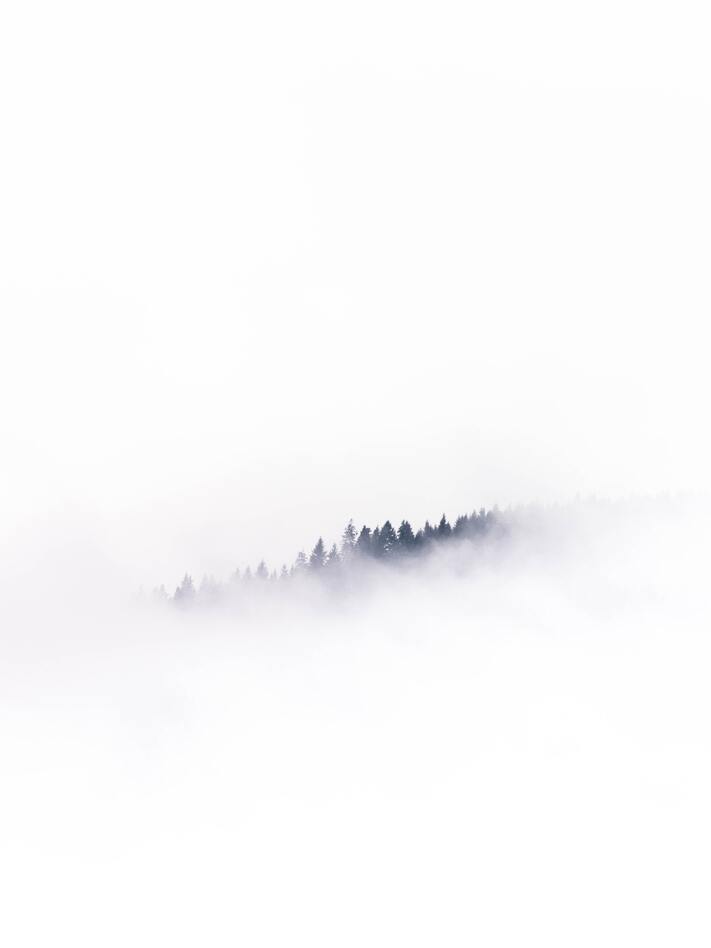 cached/dharmx_walls/unsorted/a_foggy_forest_in_the_mountains.jpg