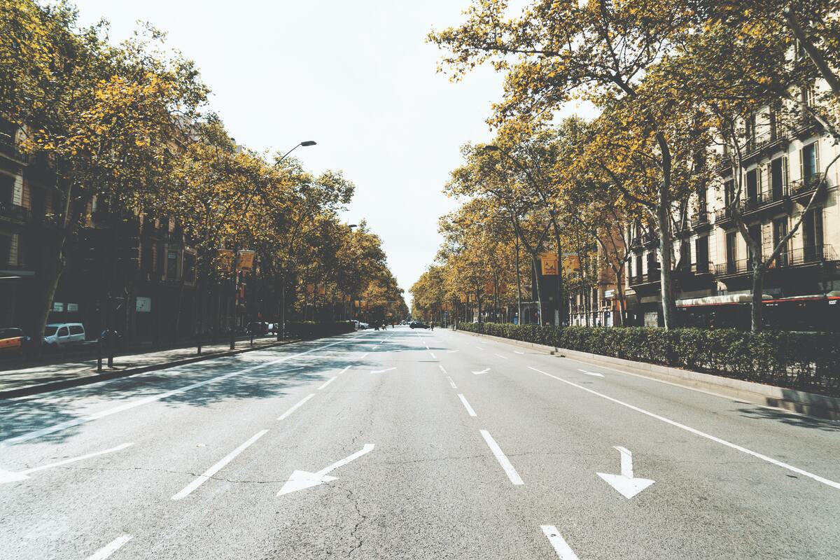 cached/dharmx_walls/unsorted/a_road_with_trees_on_the_side.jpg