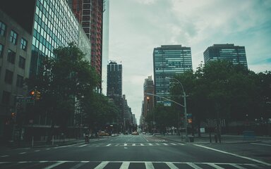 cached/dharmx_walls/unsorted/a_street_with_trees_and_buildings_in_the_background.jpg